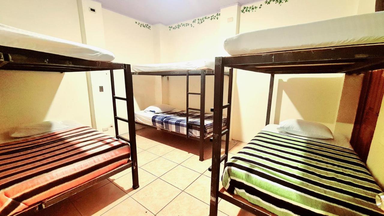 Eco Hotel Puerto Urbano 436 San Jose  Eksteriør bilde